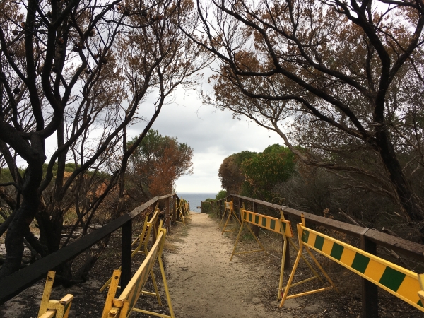 喜歡太陽曬在背項上暖烘烘的感覺，也喜歡⽤雙腳五官探索⾃然。