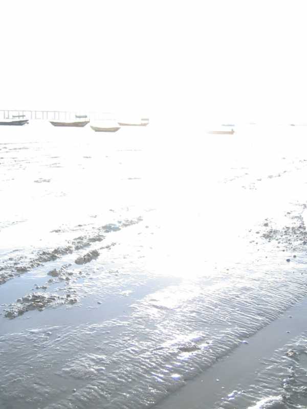 Sole giallo. mare blu.