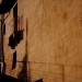 Zzz. lizard on the wall. do u speak english? caldo. molto caldo.