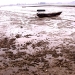 If the world's gray, why don't u give it some colors?
